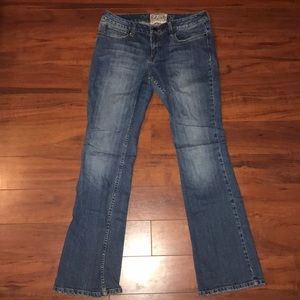 American Rag Bootcut Jeans 11R